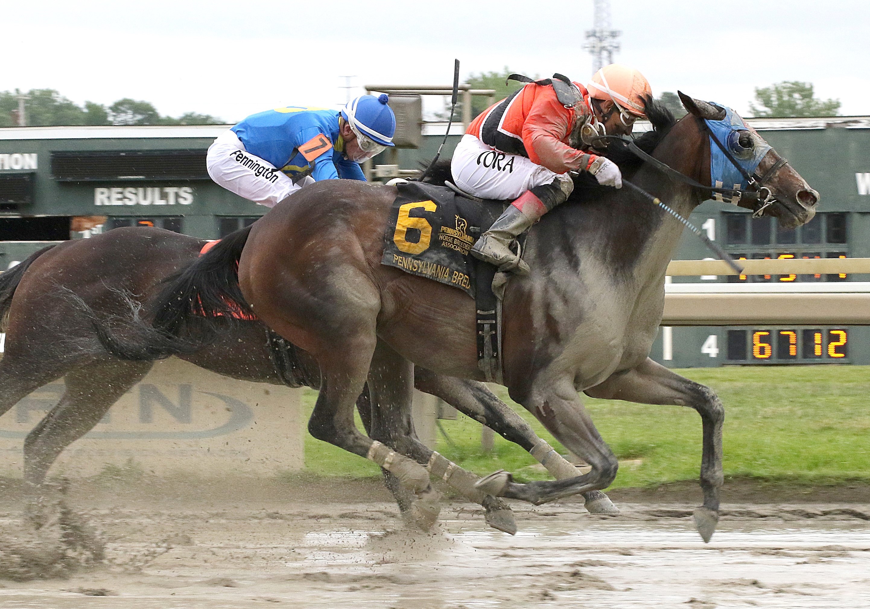 Parx Racetrack Live Horse Racing Schedule, Picks, &amp; News Today